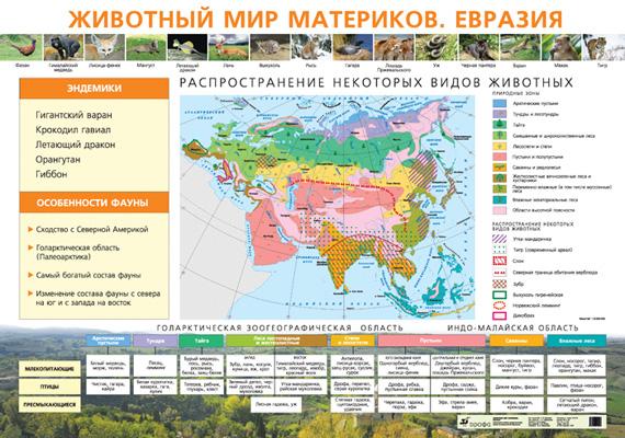 Растительный мир материков.Евразия.Курашева. 996
