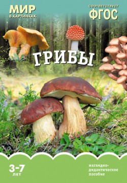 Комплект карточек: Грибы.Мир в картинках ФГОС