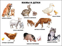 Пл.Мамы и детки А-2
