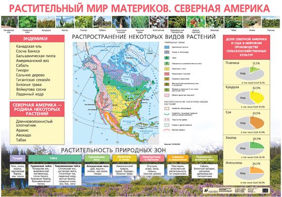 Растительный мир материков.Северная Америка.Курашева. 997