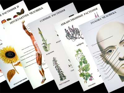 т.Природоведение 1-3 кл. (46 шт, ф. А2)