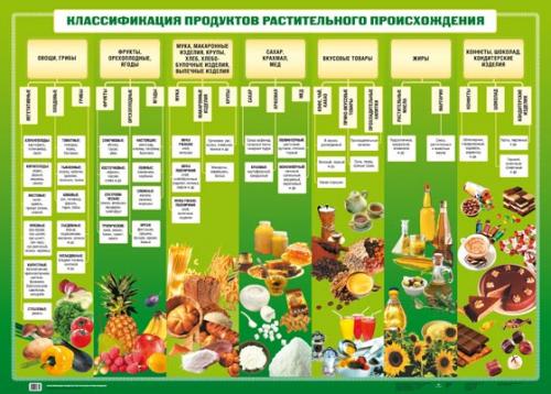 Классификация продуктов растительного происхождения /Классиф.прод.животного происх.(2) 487