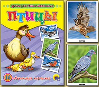 Обучающие карточки. Птицы(Проф-Пресс)