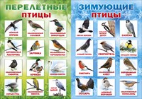 Пл.Перелетные и зимующие птицы (картон, размер 683*485мм)