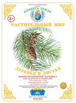 Демонстрационный материал:Растительный мир. Деревья и листья (Страна фантазий)(Вохринцева)