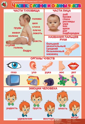 т.Окружающий мир 5-6 лет."Я познаю мир"(13 табл.+16 кар.)