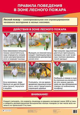 Правила поведения в зоне лесного пожара.Нагл.пос.(1) 993