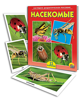 Наглядно-дидактическое пособие "Насекомые"