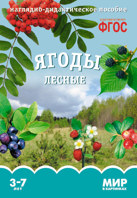 Комплект карточек: Ягоды лесные.Мир в картинках.ФГОС