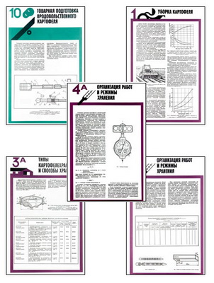 т.Хранение картофеля при интенсивной технологии выращивания (15 пл,винил,70*100)