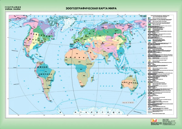 Европейский Юг России./Зоогеографическая карта мира (2)409.