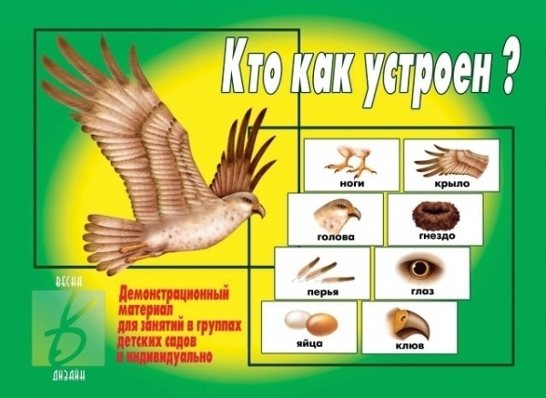 Настольная игра "Кто как устроен"
