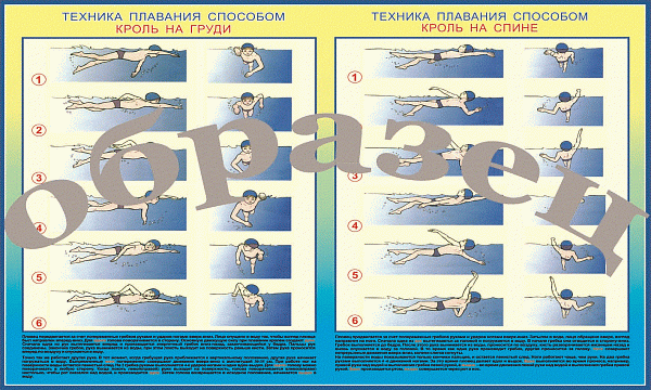 Пл.Техника плавания винил (1000*1400)