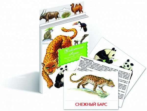 Карточки дидактические "Животные Азии"