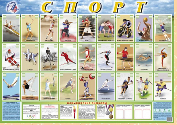 Пл.Спорт (пиши-стирай)(лам.картон, размер 600*900мм)