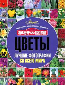 Цветы.Лучшие фото (Японские дизайнеры)