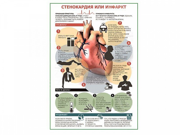 т.Стенокардия или инфаркт матовый, ламинированный А1