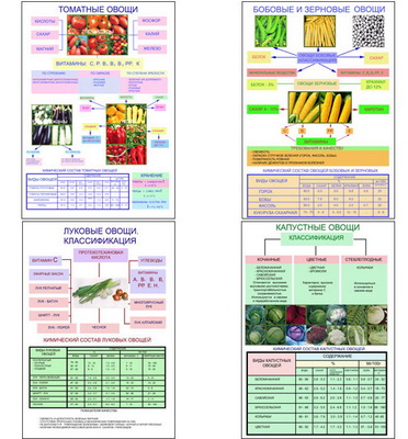 т.Классификация овощей (8 пл,винил,70*100)