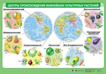 Центры происхождения важнейших культурных растений(мат)(1) 1111