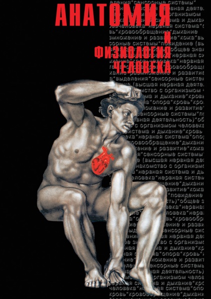Анатомия - 1 (DVD)