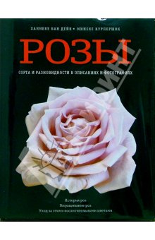 Розы. Сорта и разновидности.Ван Дейк Ханнеке