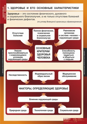 т.Здоровый образ жизни ( 8 табл)
