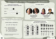 Основные методы генетики человека (1)541 Сивоглазов.