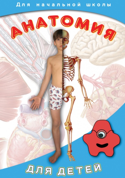 Анатомия для детей (DVD)