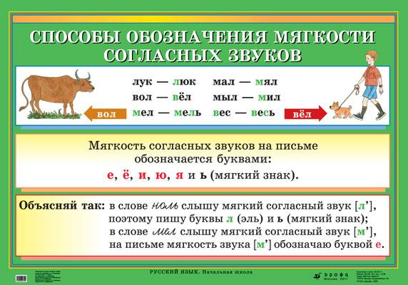 Рус.яз.Способы обозначения мягкости согласныхзвуков/Родственные слова(2)255.
