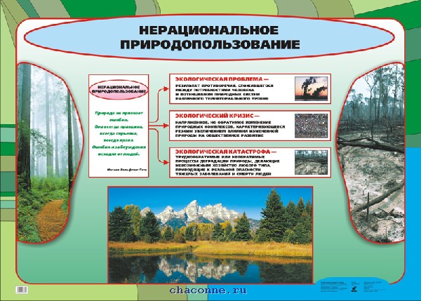 Нерациональное природопользование (1) 654
