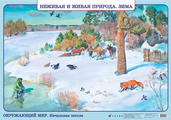 Окруж.мир.Неживая и живая природа.Зима/ Формы земной поверхн.(2)050.