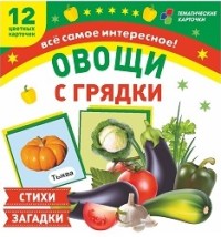 Овощи с грядки: 12 цветных карточек.Стихи и загадки
