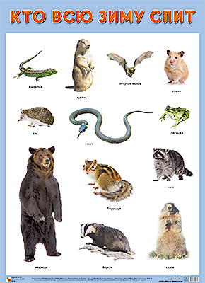 ��.��� ��� ���� ����