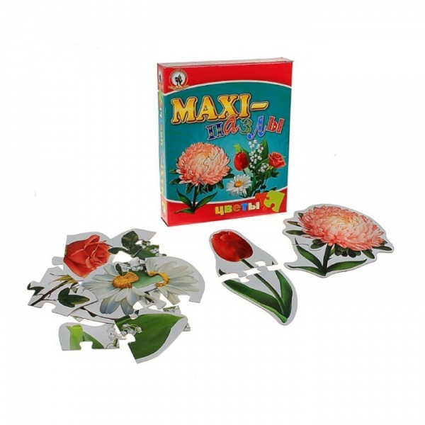 ���� �������� "�����" (��� �������)