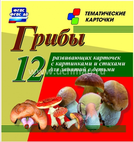 �����: 12 ����������� �������� � ���������� ����������, ������� � ��������� ��� ������� � ������