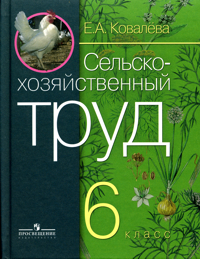 �������� �������������������� ���� 6 ��. (8 ���)