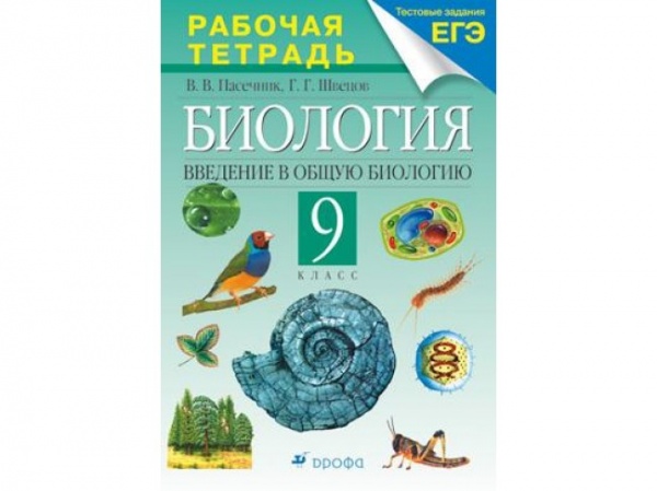 ��������� �������� � ����� �������� � �������� 9 ��. �/� �  ��������� ��������� ��� (��������) 2019