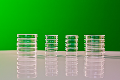 ����� ����� �����