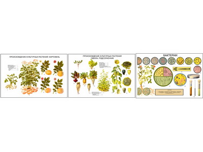 �.������������� ���������� ��������:���������,������ � ���������� (3 ��,�����,70*100)