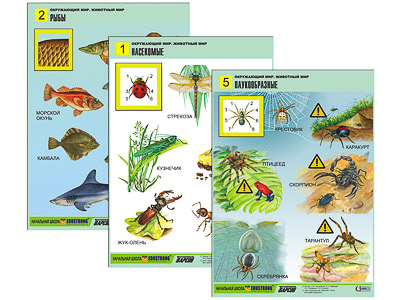 �.���������� ���. �������� ��� (8 ����., �1, ���.)