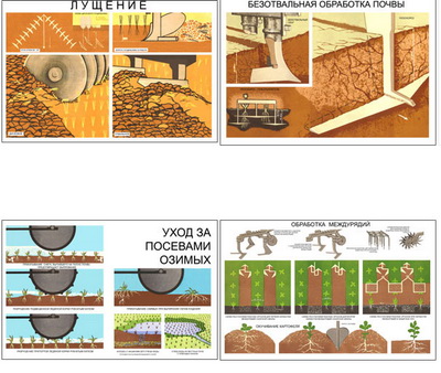 �.������ ��������� (11 ��,�����,70*100)