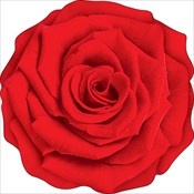 ��������� �� ������ �������(������)