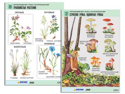 �.���������� ���. �����. ������������ ��� (12 ����., ������ �1, ���.)