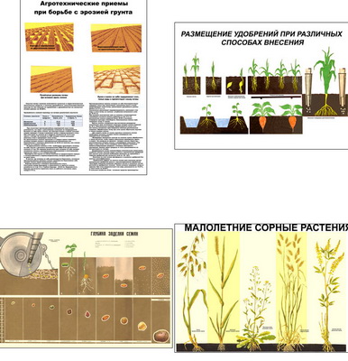 �.��������� (5 ��,�����,70*100)