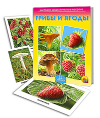 ��������-������������� ������� "����� � �����"