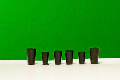 ����� ������ ��������� ��� ���������� ������