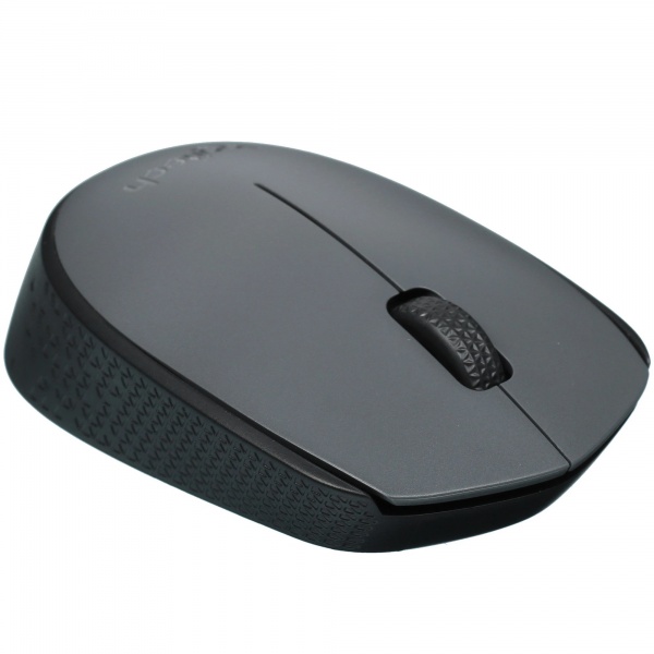 ���� ������������ Logitech M170