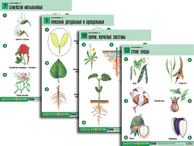 �.�������� 2 (18 ����., ������ �1, ���.) 