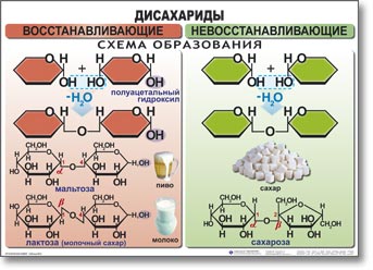 �.������������ ����� 10-11 ����� (39 ����., ������, �����., 50�70 ��)