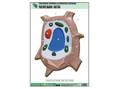 ��������� ������� "������������ ������" (������ �1, ������� �������.)